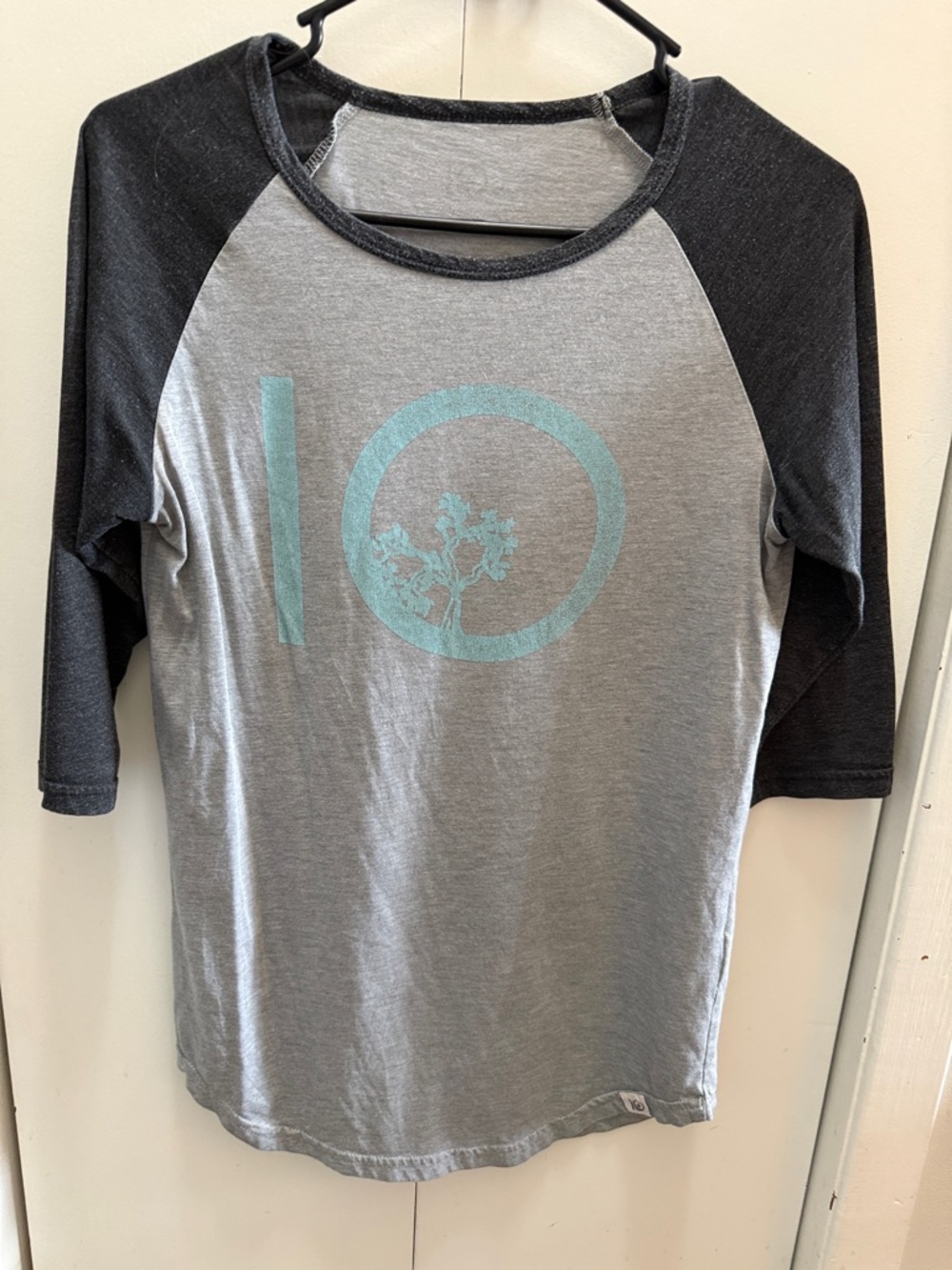 Gray and Black Raglan Tee with Mint Graphic